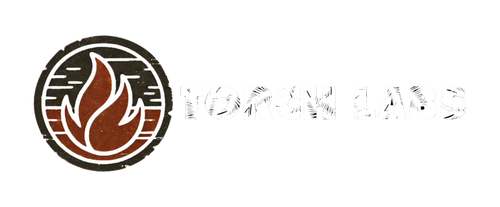 Torch Labs